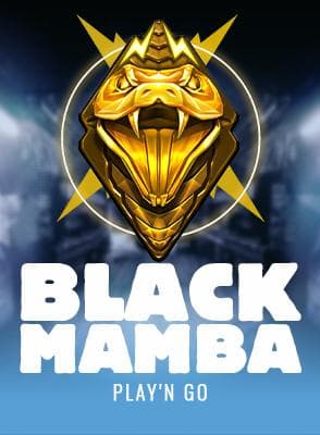 play-n-go/black-mamba
